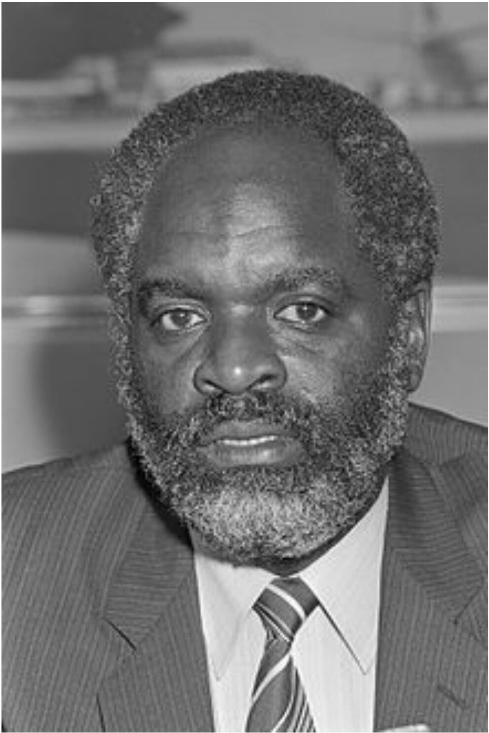 Dominico Don F. MARTINA